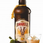Amarula fles met glas en fruit